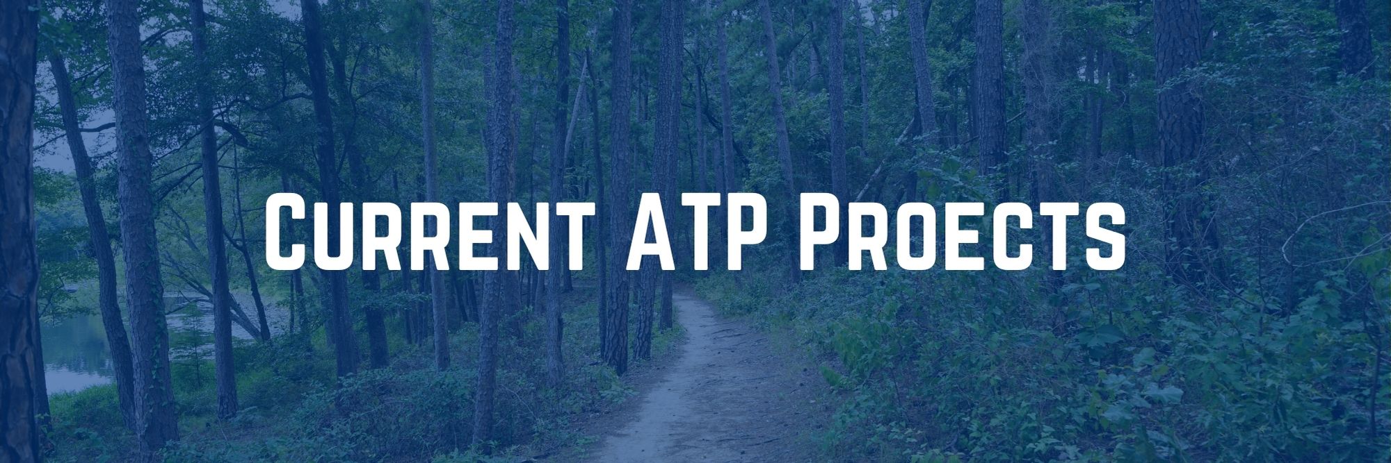 Current ATP Projects